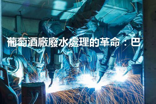 葡萄酒廠廢水處理的革命：巴洛仕的創(chuàng)新技術！